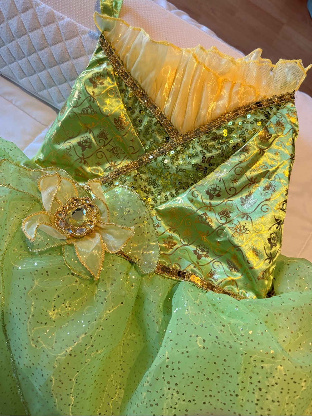 Disney Green and Gold Princess Tulle Gown with Jewel Accent